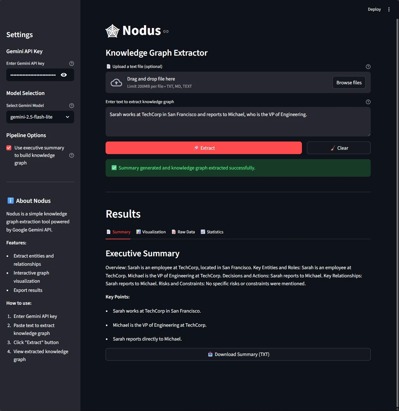 Nodus tab showing a summary from the input text.