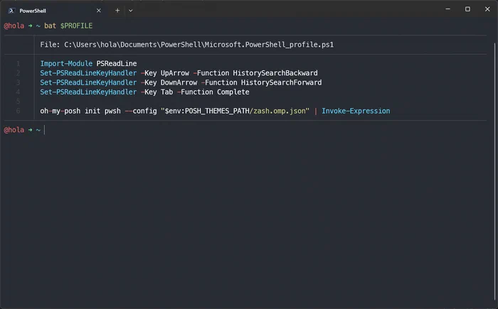 Windows Terminal mostrando bat desplegando un archivo con resaltado de sintaxis y números de línea