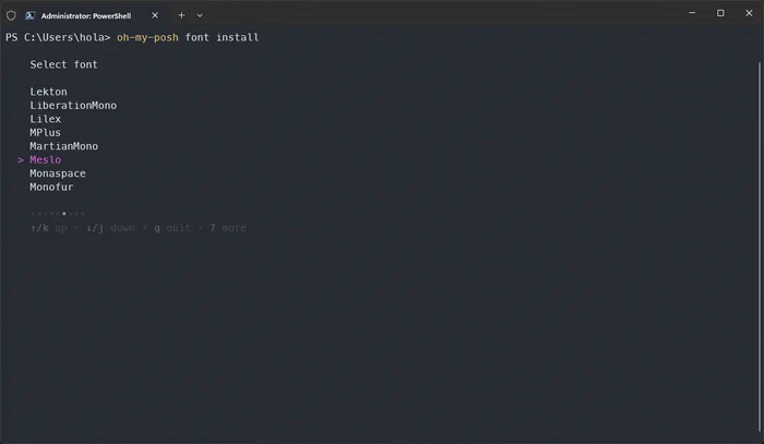 Instalar Meslo Nerd Font